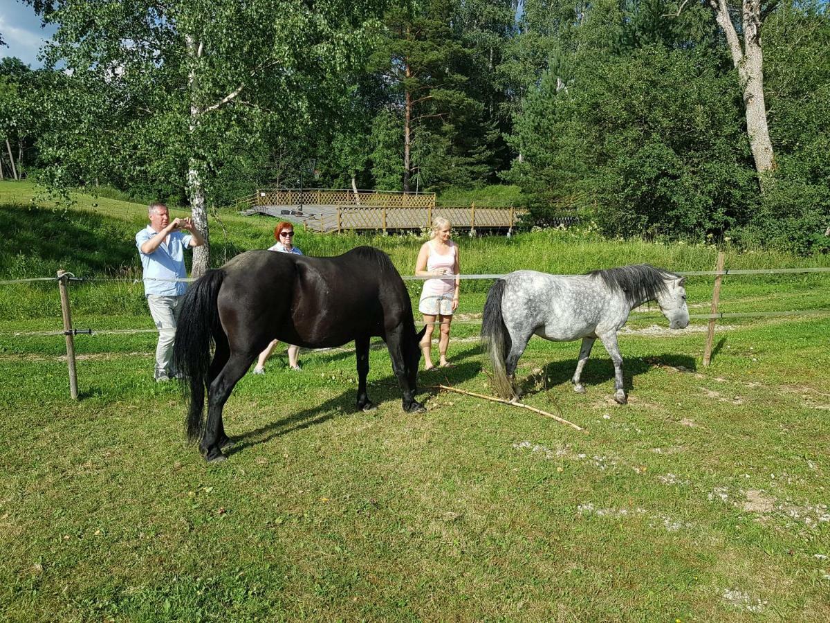 Soomaa Water Camp Hotel Jõesuu Buitenkant foto